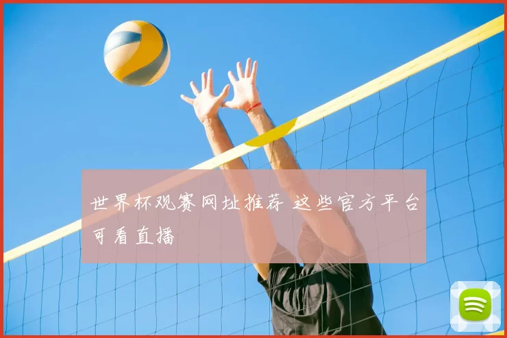 世界杯观赛网址推荐 这些官方平台可看直播