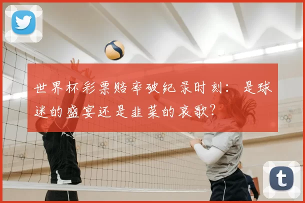 世界杯彩票赔率破纪录时刻:是球迷的盛宴还是韭菜的哀歌?