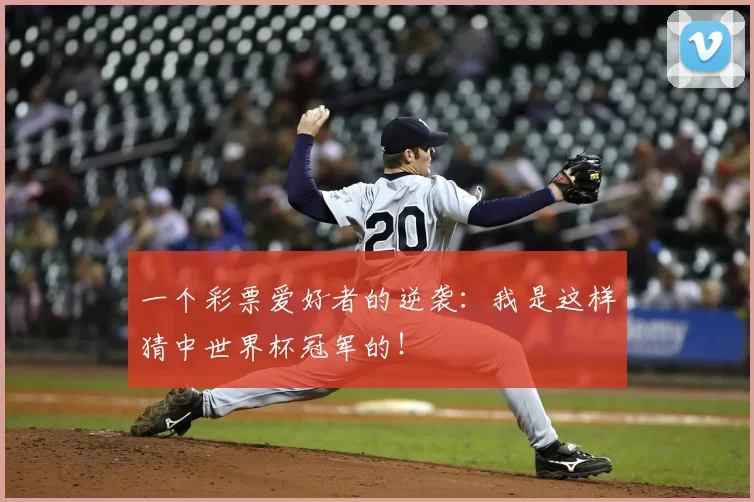 一个彩票爱好者的逆袭:我是这样猜中世界杯冠军的!