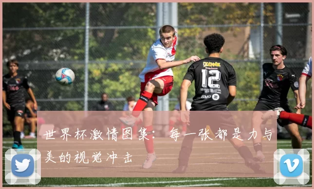 世界杯激情图集：每一张都是力与美的视觉冲击