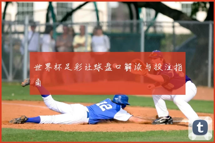 世界杯足彩让球盘口解读与投注指南