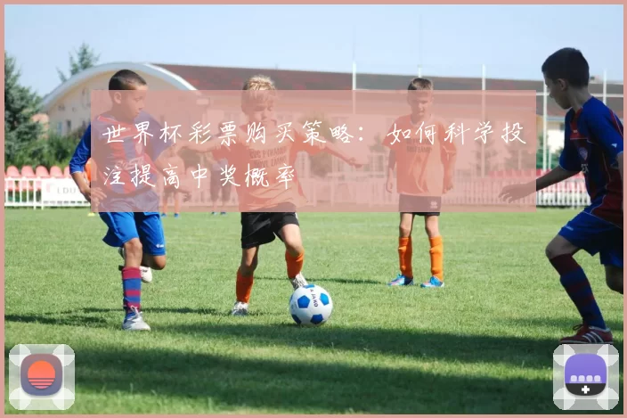 世界杯彩票购买策略:如何科学投注提高中奖概率