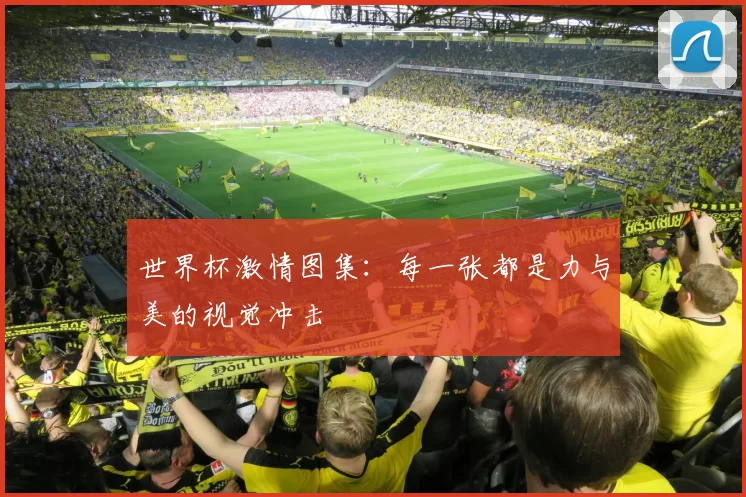 世界杯激情图集：每一张都是力与美的视觉冲击