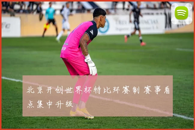 北京开创世界杯特比环赛制 赛事看点集中升级