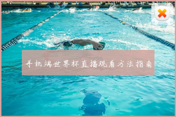 手机端世界杯直播观看方法指南