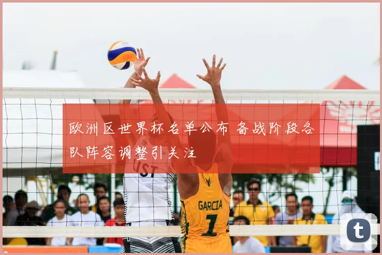 欧洲区世界杯名单公布 备战阶段各队阵容调整引关注