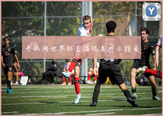 手机端世界杯直播观看方法指南