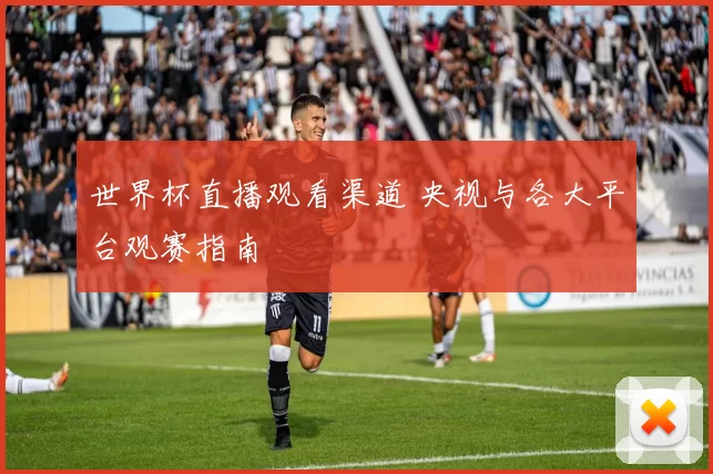 世界杯直播观看渠道 央视与各大平台观赛指南