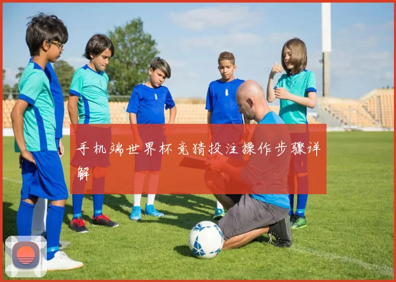 手机端世界杯竞猜投注操作步骤详解