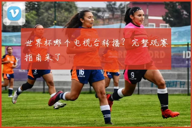 世界杯哪个电视台转播?完整观赛指南来了