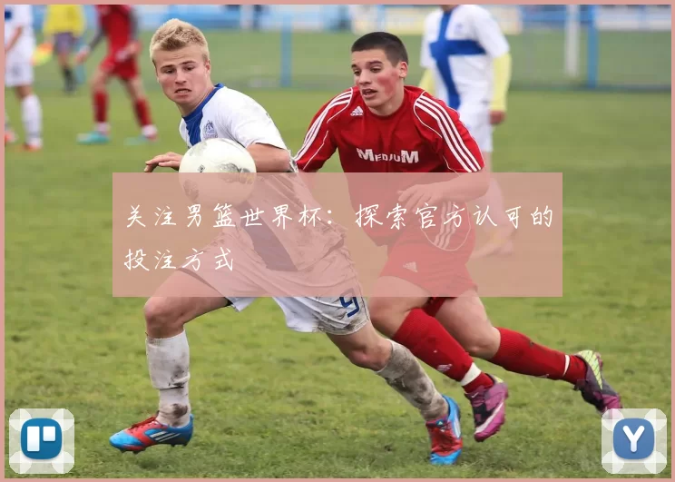 关注男篮世界杯：探索官方认可的投注方式